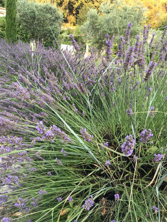 Bastide Nomade - * Saint-Paul-de-Vence