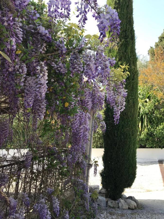 Bastide Nomade -